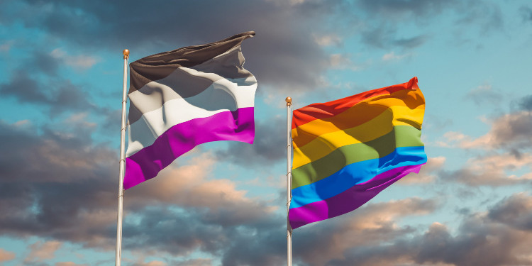 Kavramlar: Aseksüel, demiseksüel, gri aseksüel ve aromantik | Kaos GL - LGBTİ+ Haber Portalı Haber