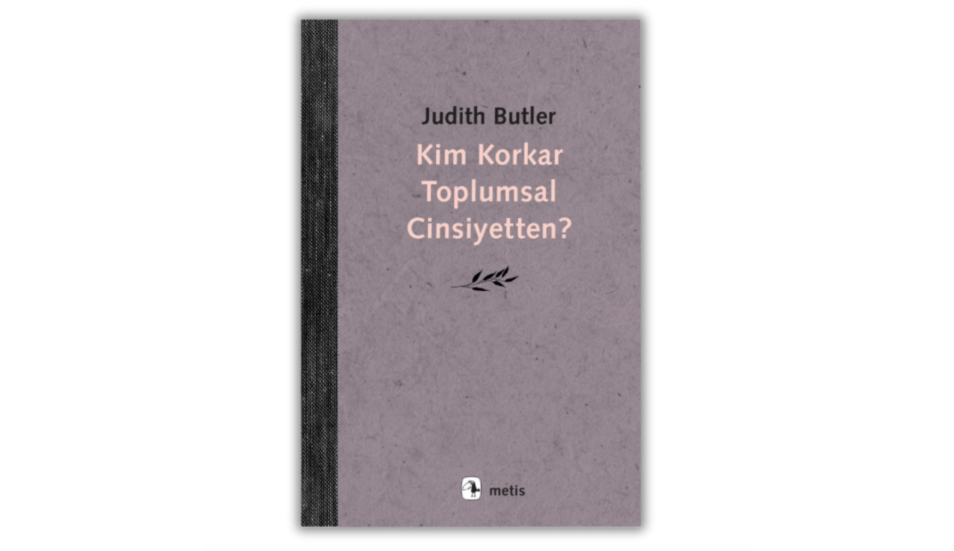 “Kim Korkar Toplumsal Cinsiyetten?” Türkçede! Kaos GL - LGBTİ+ Haber Portalı