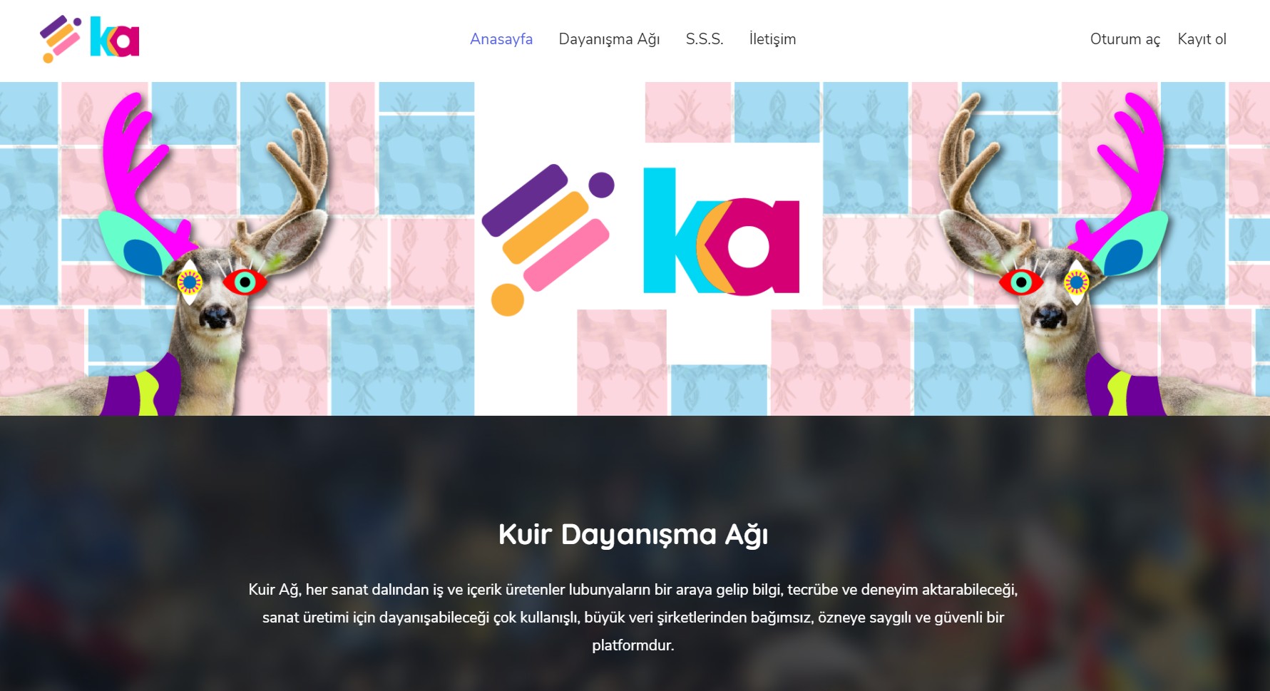 Kuir Dayanışma Ağı web sitesi yayında | Kaos GL - LGBTİ+ Haber Portalı Haber