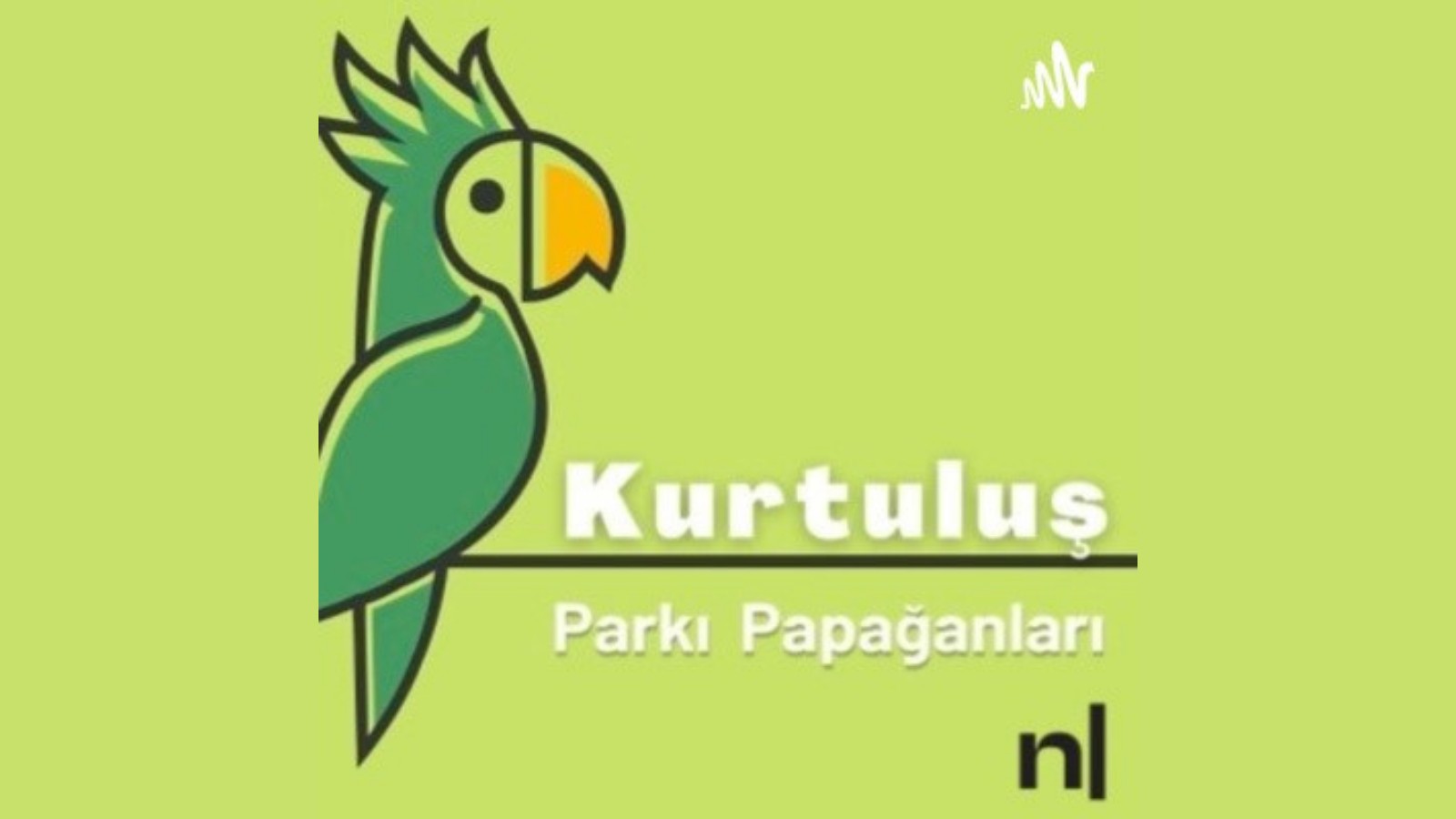 Kurtuluş Parkı Papağanları’nın son konuğu: Esmeray | Kaos GL - LGBTİ+ Haber Portalı Haber