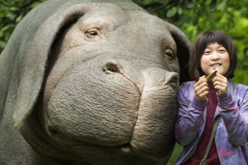 Lavender’den dönemin ilk gösterimi: Okja | Kaos GL - LGBTİ+ Haber Portalı Haber