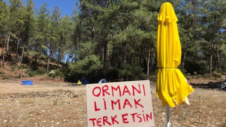 “LGBTİ+’lar Akbelen mücadelesinin yanında” | Kaos GL - LGBTİ+ Haber Portalı Haber