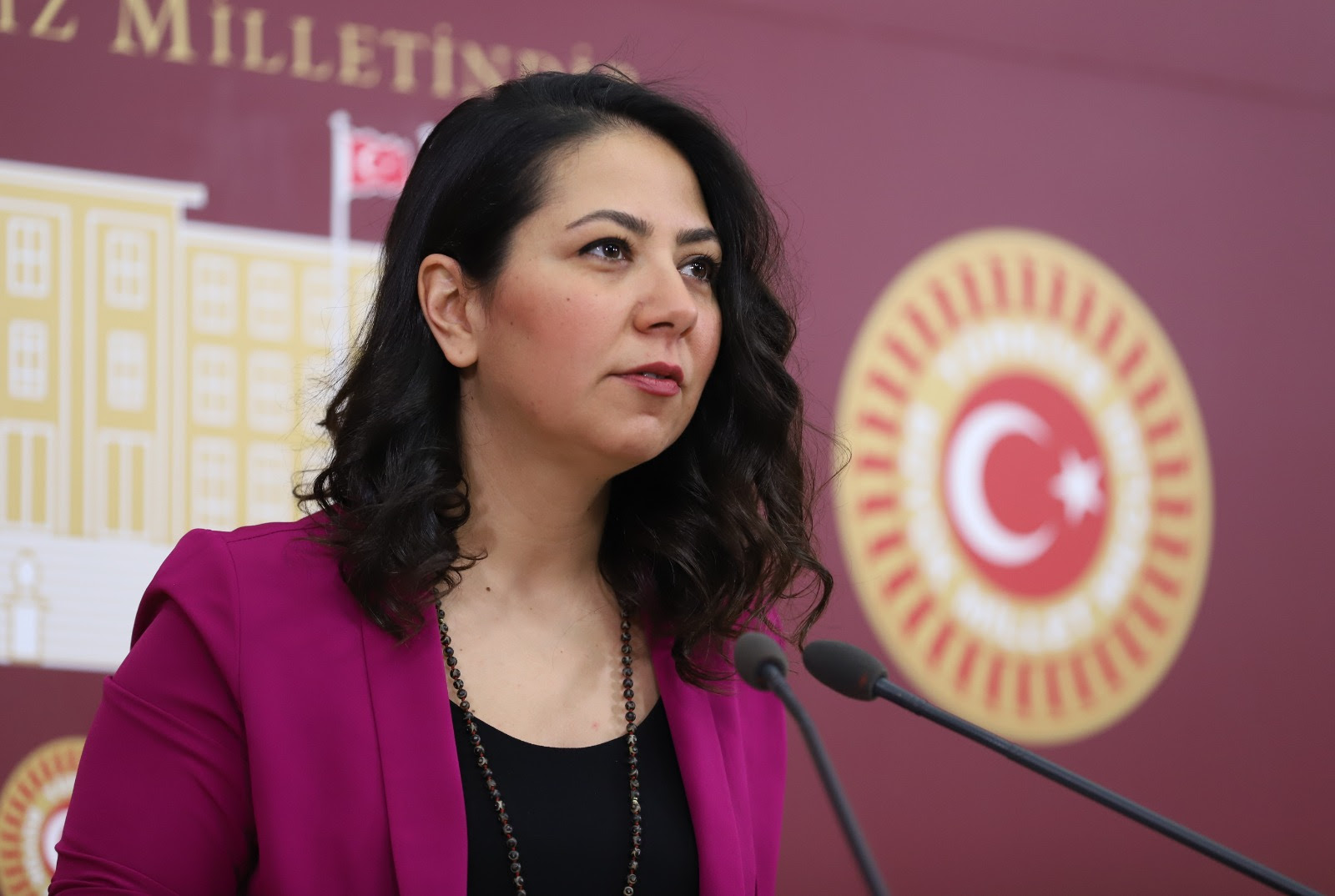 LGBTİ+’lara katliam çağrısı yapan broşür Meclis gündeminde | Kaos GL - LGBTİ+ Haber Portalı Haber