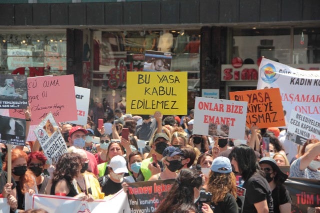 LGBTİ+’lardan AYM’nin katliam yasası kararına tepki: “Tüm türlerin özgürlüğünü ve yaşamını savunmaya devam edeceğiz” Kaos GL - LGBTİ+ Haber Portalı