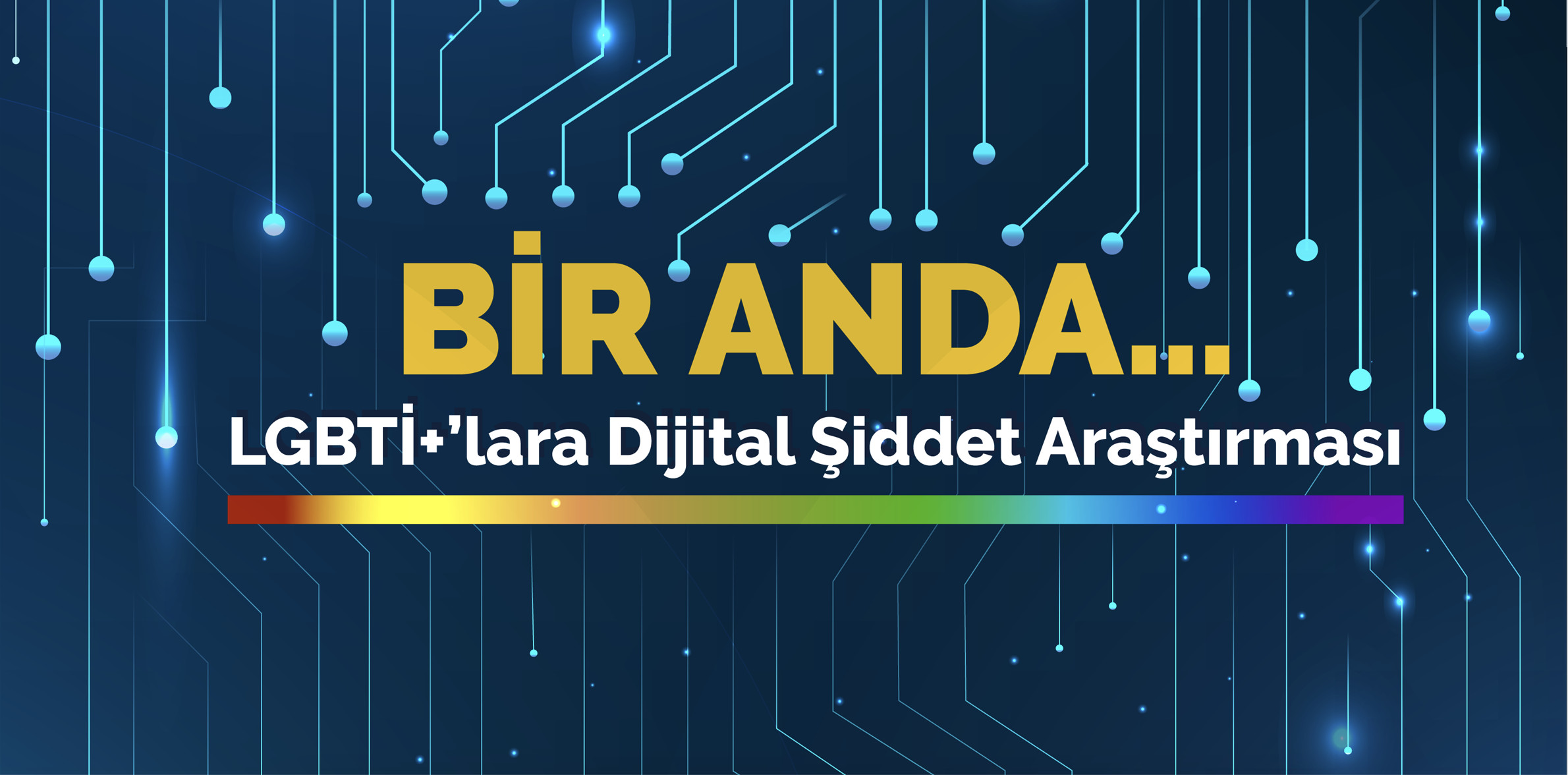 LGBTİ+’ların yüzde 90’ı dijital şiddet mağduru! | Kaos GL - LGBTİ+ Haber Portalı Haber