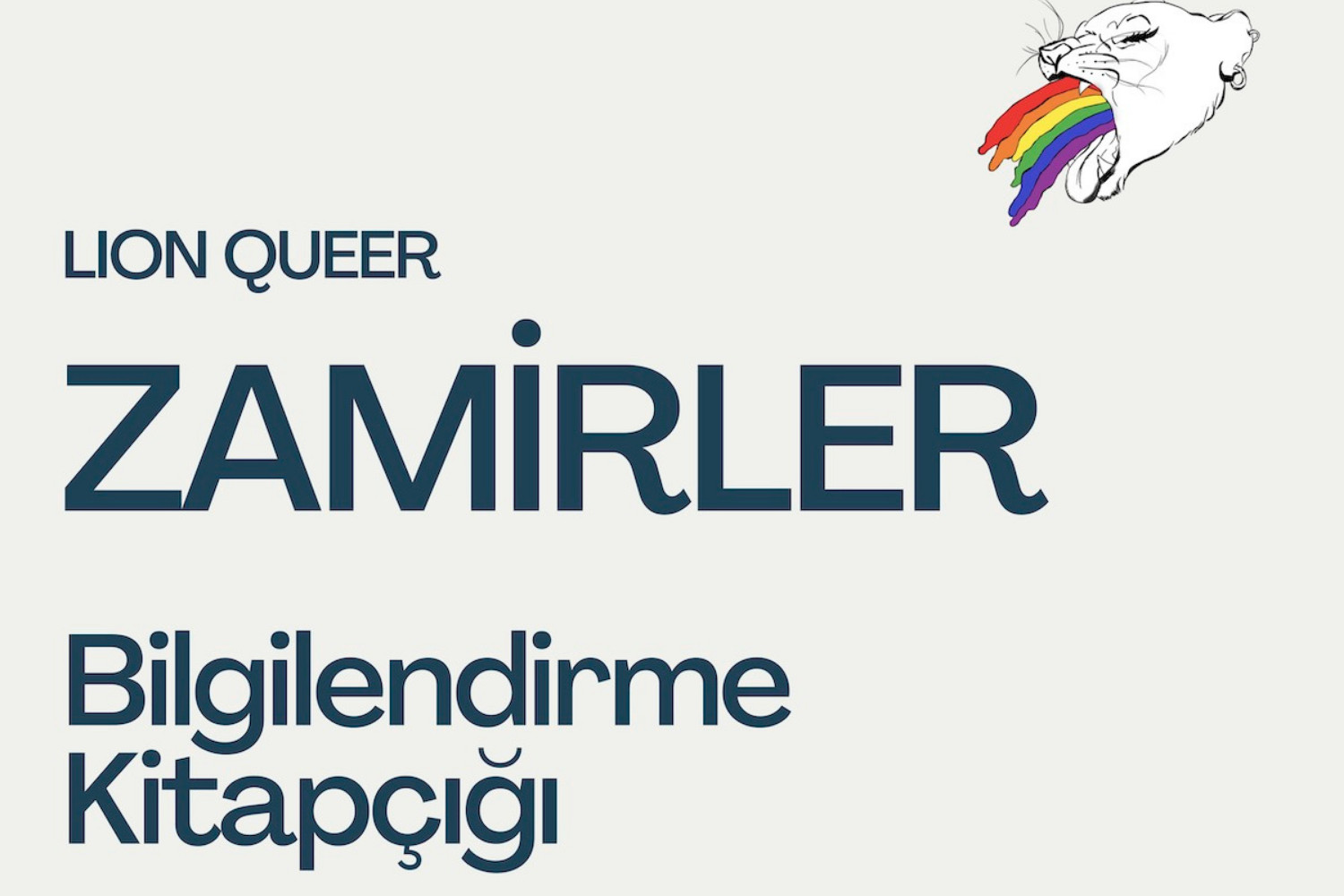 Lion Queer’den zamirler bilgilendirme kitapçığı | Kaos GL - LGBTİ+ Haber Portalı Haber