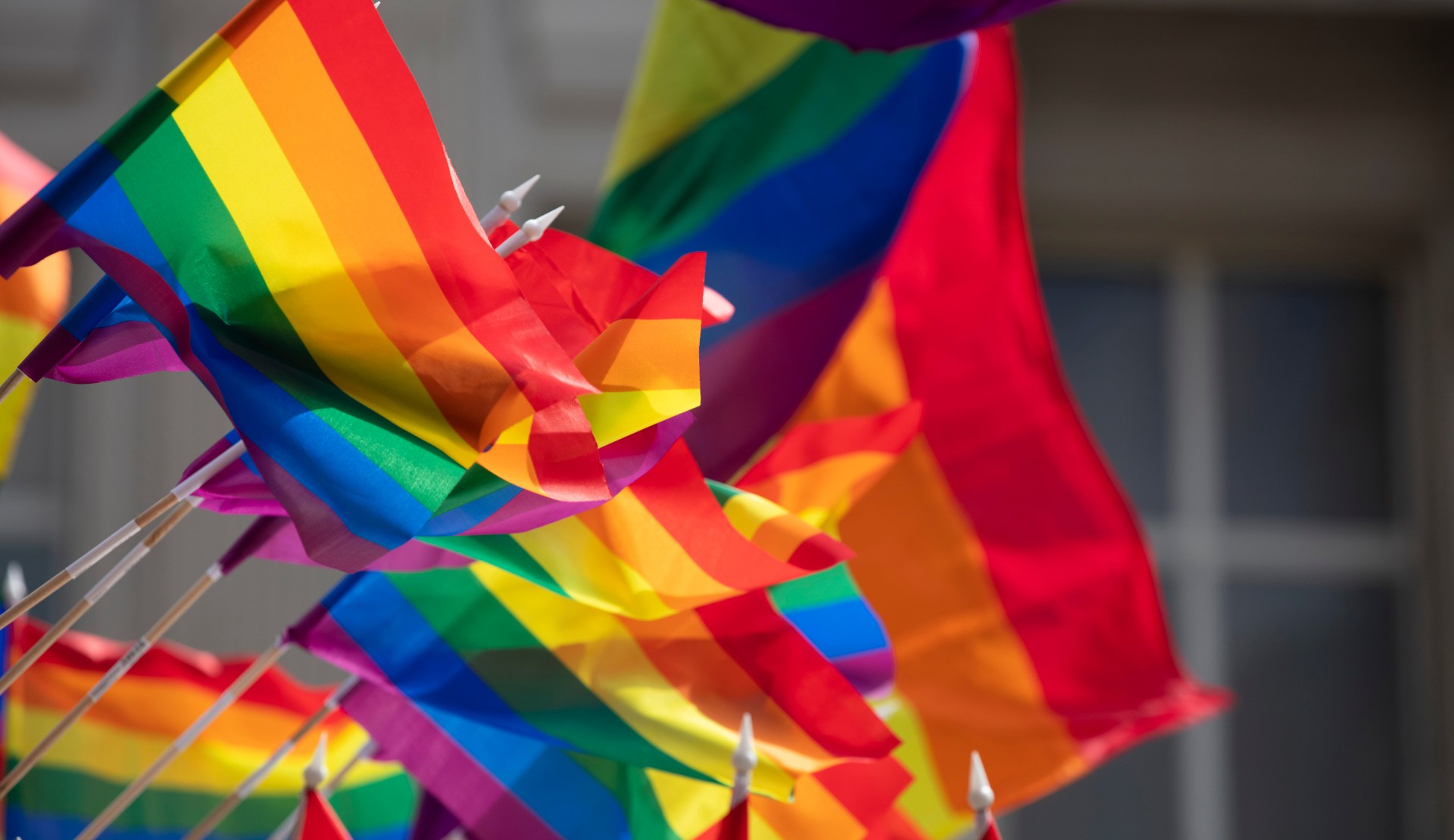 “LİSTAG güvenilir bilgiye, deneyime ve karşılıklı anlayışa ulaşılabilen bir alan haline geldi” Kaos GL - LGBTİ+ Haber Portalı