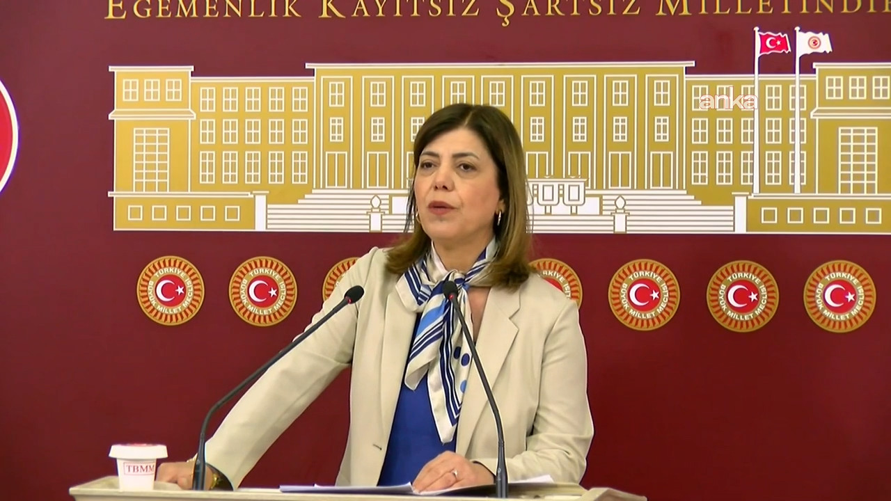 Meral Danış Beştaş: “LGBTİ+’lar zararlı bir akım değil, bir varlık mücadelesi” | Kaos GL - LGBTİ+ Haber Portalı Haber