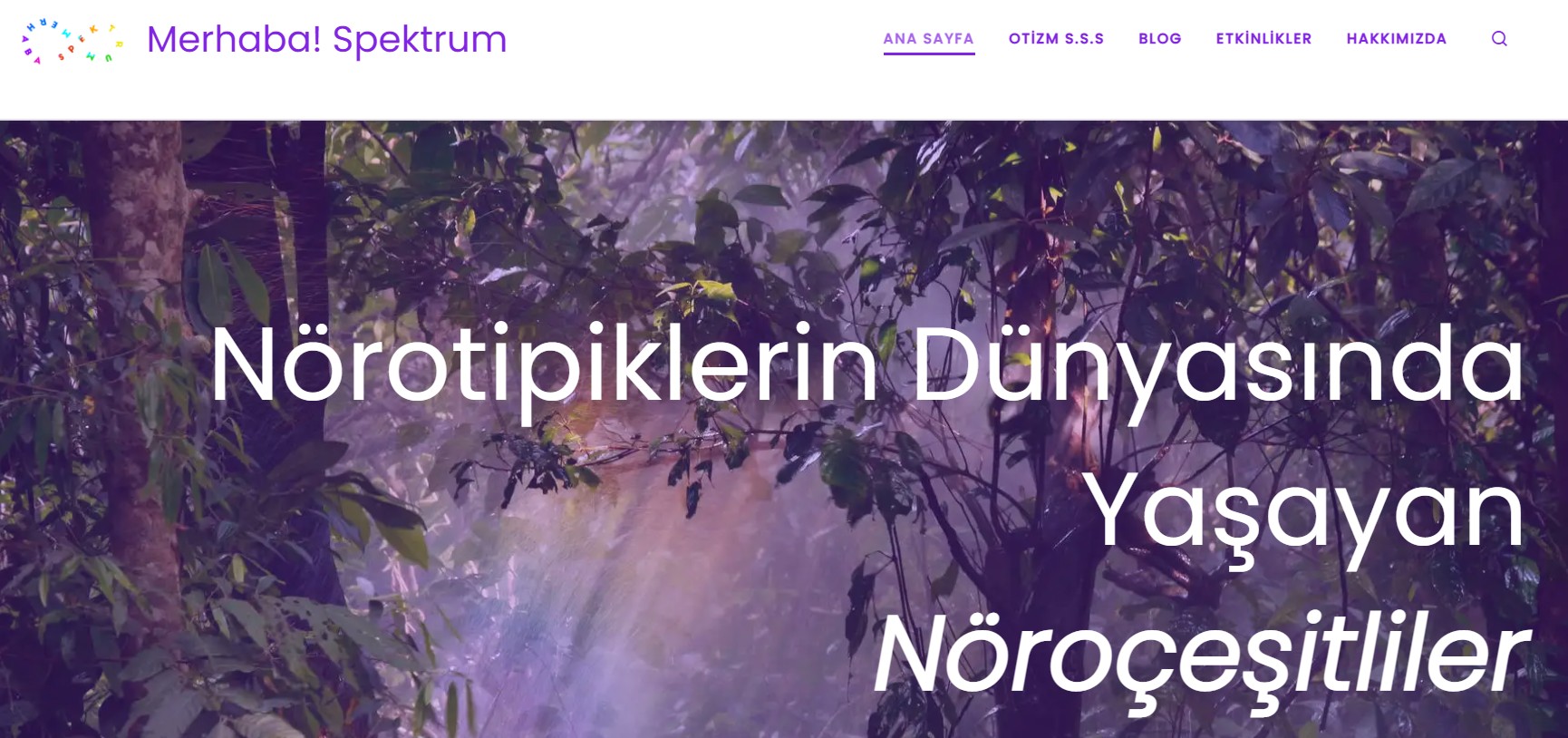 Merhaba! Spektrum sözlüğünden nöroçeşitli 15 terim | Kaos GL - LGBTİ+ Haber Portalı Haber