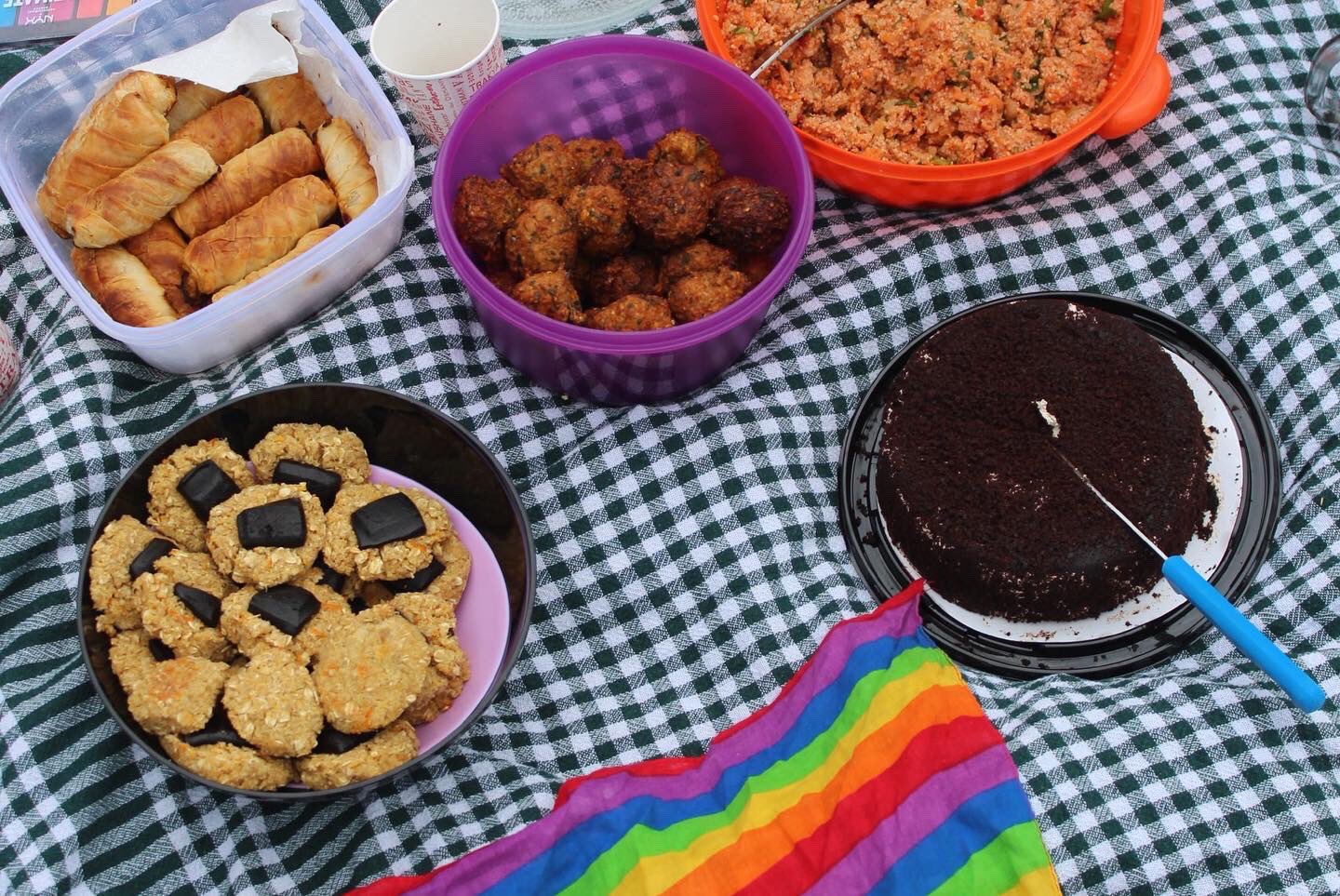 Mora LGBTİQ+’dan vegan piknik Kaos GL - LGBTİ+ Haber Portalı