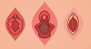 Moskova’da “Vulva 3.0” belgeseline yasak | Kaos GL - LGBTİ+ Haber Portalı