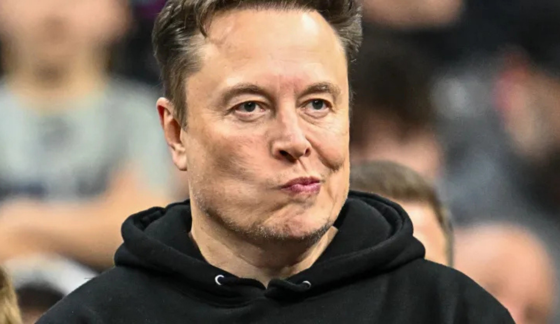 Musk’ın hedefinde şimdi de trans temsili içeren televizyon dizileri var | Kaos GL - LGBTİ+ Haber Portalı