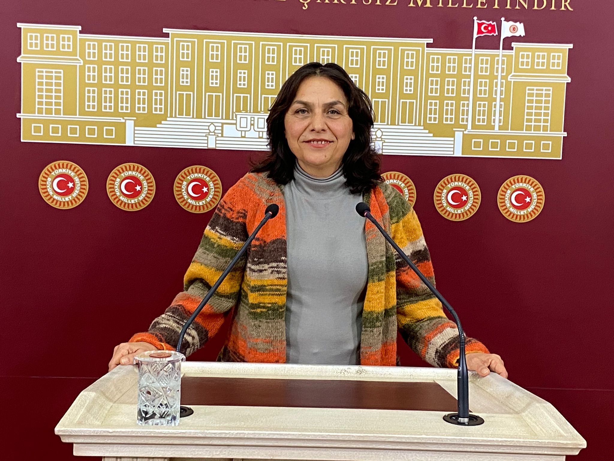 Özgül Saki, put digital violence against LGBTI+s on the parliamentary agenda Kaos GL - News Portal for LGBTI+