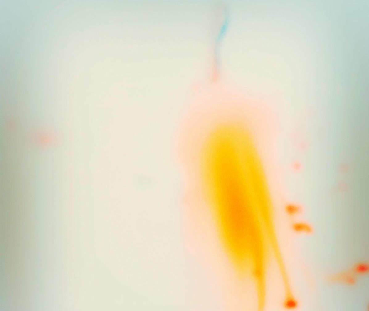 Pelerin Fanzin’den kuir özel sayısı | Kaos GL - LGBTİ+ Haber Portalı Haber