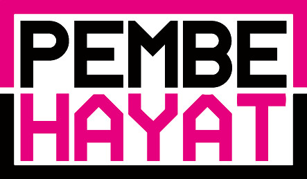 Pembe Hayat, Aralık’ta toplam 53 danışmanlık verdi Kaos GL - LGBTİ+ Haber Portalı