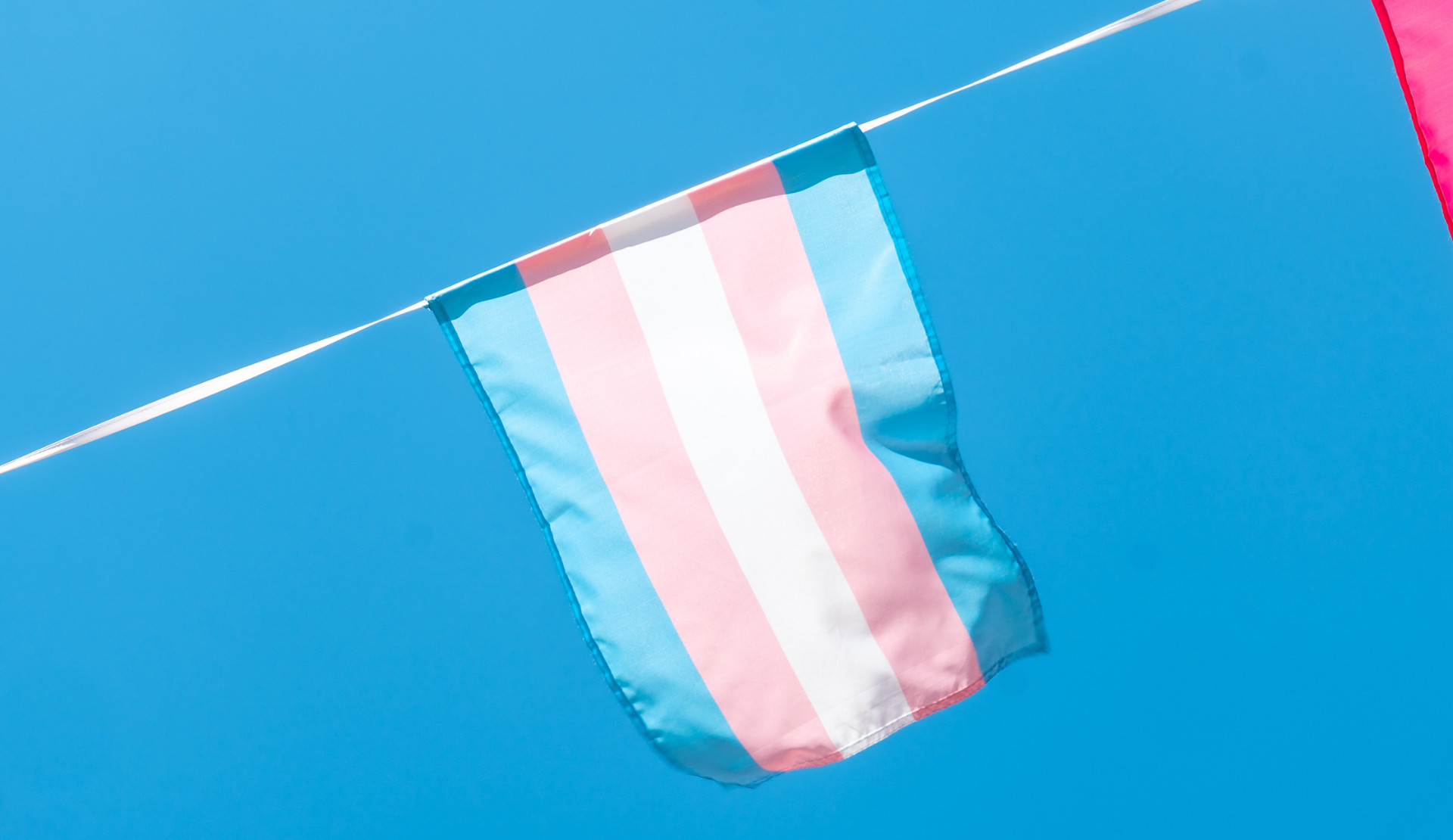 Pembe Hayat’tan 20 Kasım açıklaması: "Daha özgür, daha güvenli bir hayat için mücadele etmeye devam ediyoruz" | Kaos GL - LGBTİ+ Haber Portalı