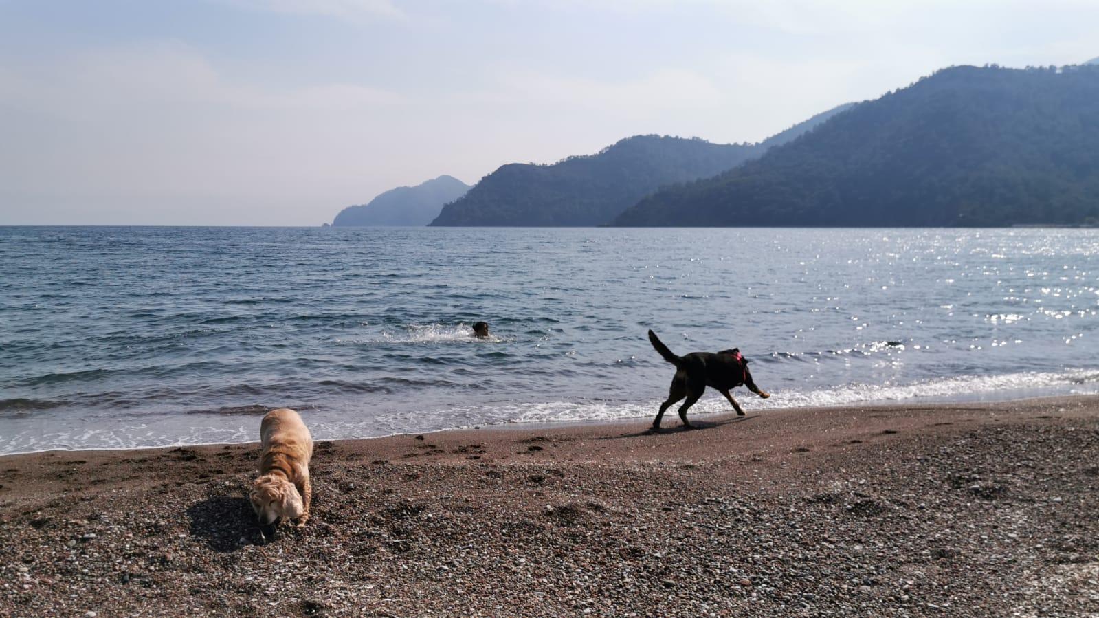 Queerantina* halleri: Ankara’daki renkli hayatımı özlüyorum | Kaos GL - LGBTİ+ Haber Portalı