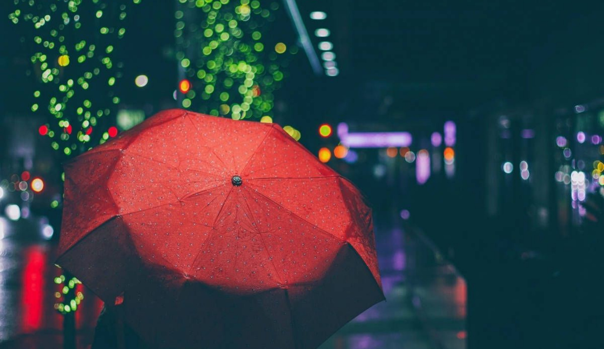 Renkli Güvercin: “Seks işçilerinin hak mücadelesi, LGBTİ+ özgürlük mücadelesinin ayrılmaz bir parçasıdır” Kaos GL - LGBTİ+ Haber Portalı