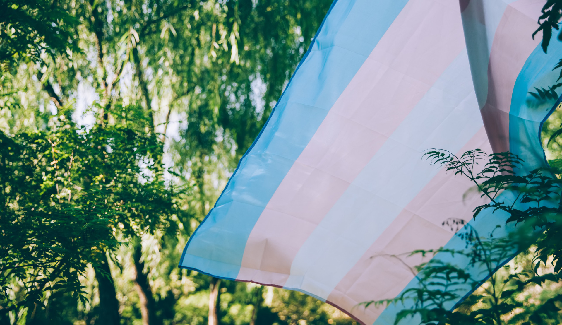 Rus işgali altından kaçan trans mülteci, yaşanan işkenceyi anlattı  Kaos GL - LGBTİ+ Haber Portalı