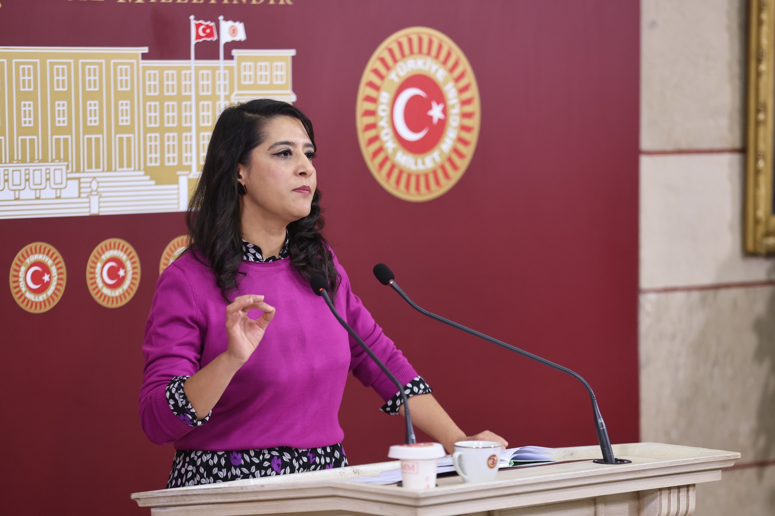 Sevda Karaca: 11. Yargı Paketi faşizmin zapturapt belgesidir | Kaos GL - LGBTİ+ Haber Portalı Haber