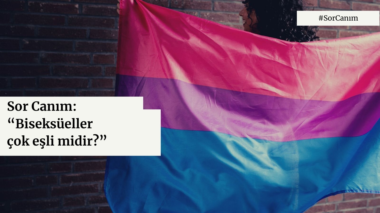 Sor Canım: “Biseksüeller çok eşli midir?” | Kaos GL - LGBTİ+ Haber Portalı Haber