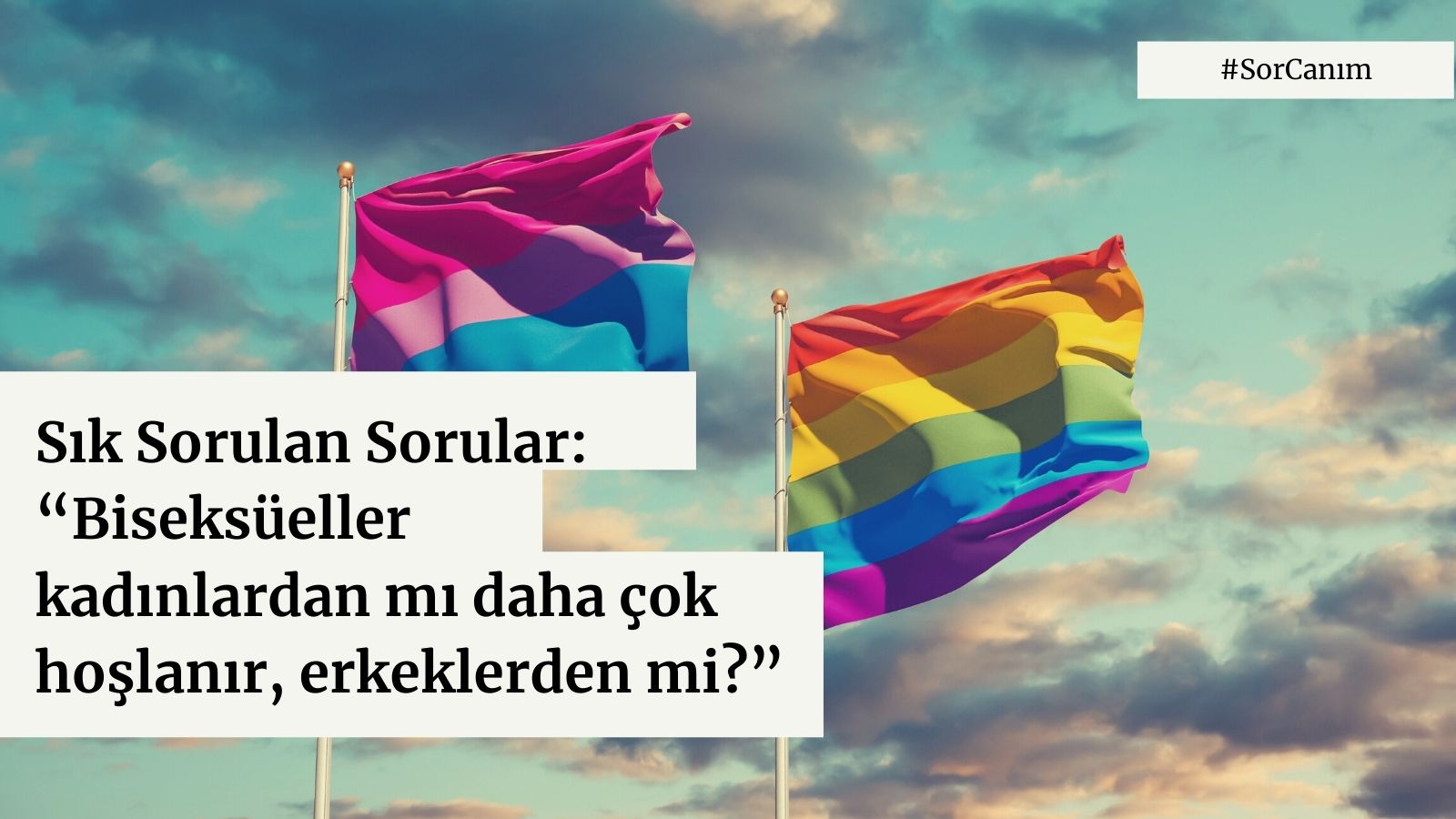 Sor Canım: “Biseksüeller kadınlardan mı daha çok hoşlanır, erkeklerden mi?” | Kaos GL - LGBTİ+ Haber Portalı Haber