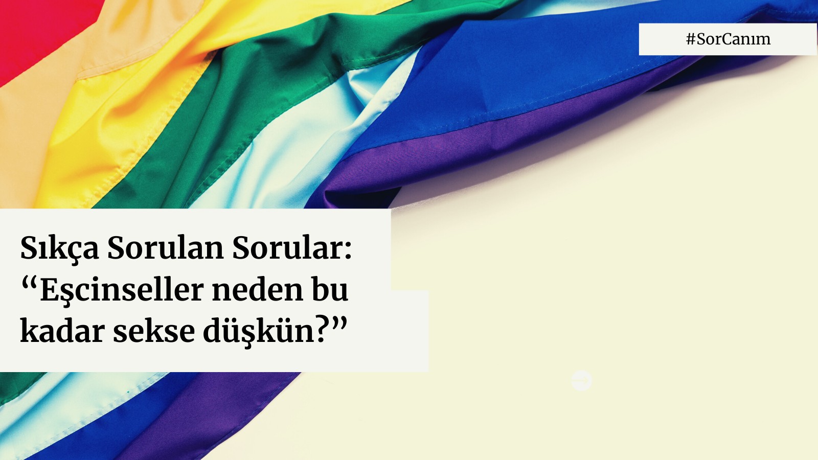 Sor Canım: “Eşcinseller neden bu kadar sekse düşkün?” Kaos GL - LGBTİ+ Haber Portalı