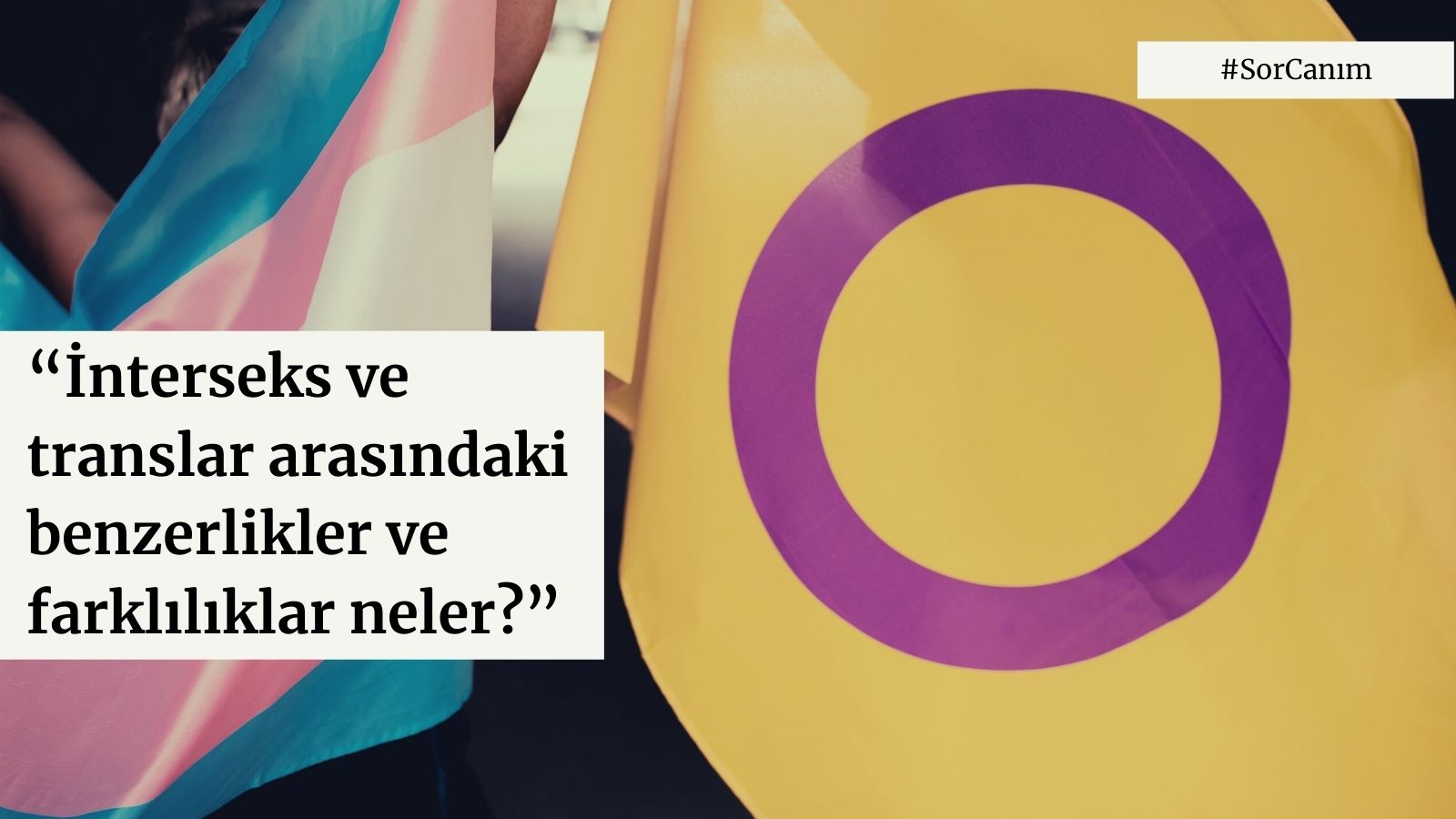 Sor Canım: “İnterseks ve translar arasındaki benzerlikler ve farklılıklar nelerdir?” | Kaos GL - LGBTİ+ Haber Portalı Haber