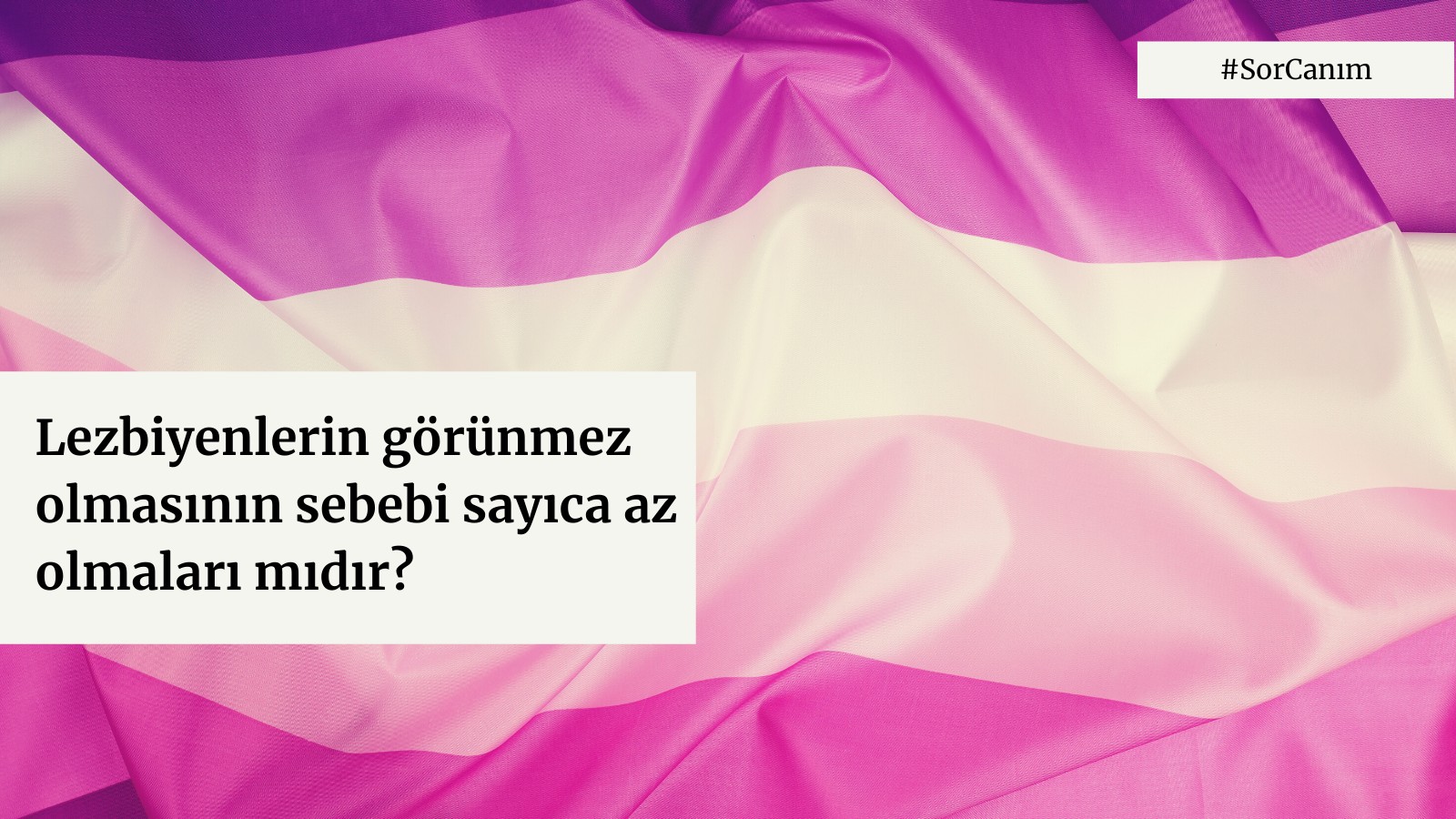 Sor Canım: “Lezbiyenlerin görünmez olmasının sebebi sayıca az olmaları mıdır?” | Kaos GL - LGBTİ+ Haber Portalı Haber