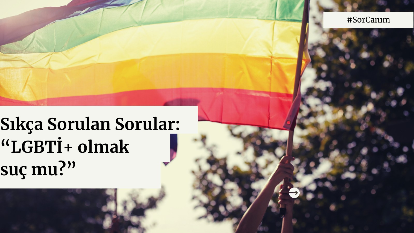 Sor canım: “LGBTİ+ olmak suç mu?” | Kaos GL - LGBTİ+ Haber Portalı