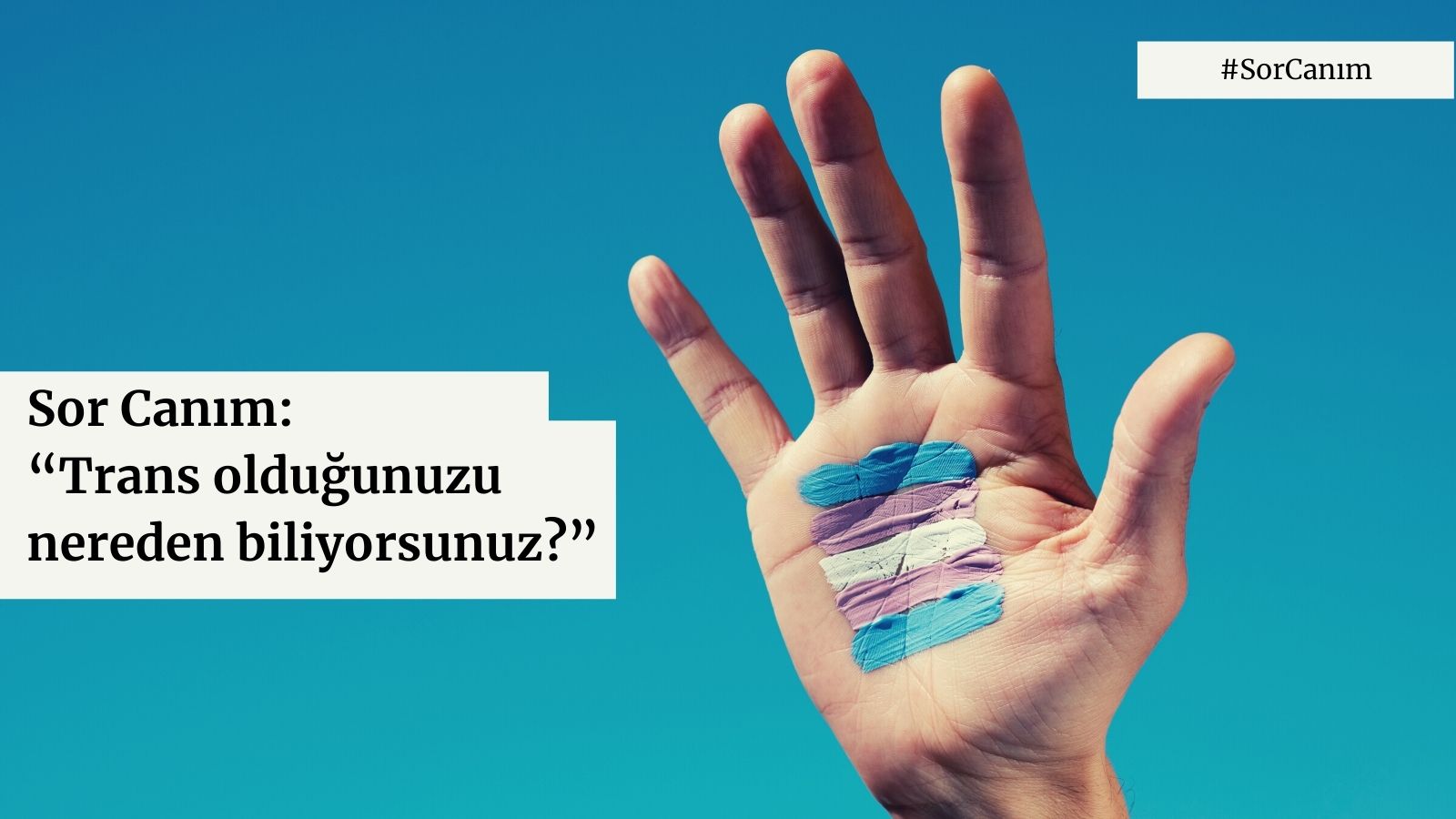Sor Canım: “Trans olduğunuzu nereden biliyorsunuz?” | Kaos GL - LGBTİ+ Haber Portalı Haber