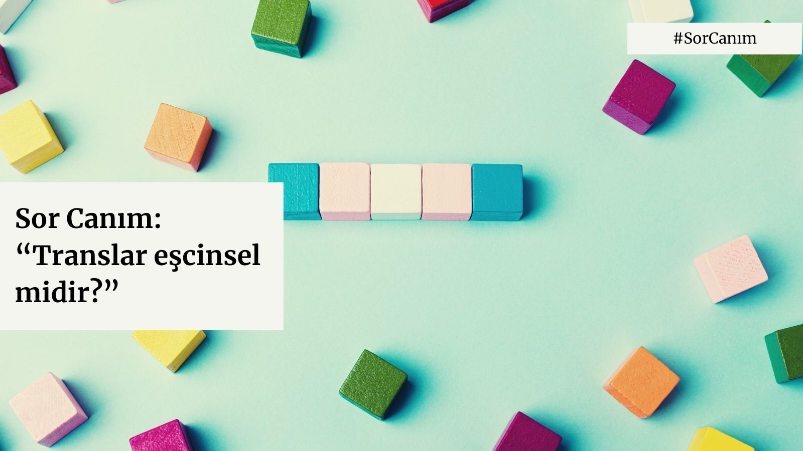 Sor Canım: “Translar eşcinsel midir?” | Kaos GL - LGBTİ+ Haber Portalı Haber