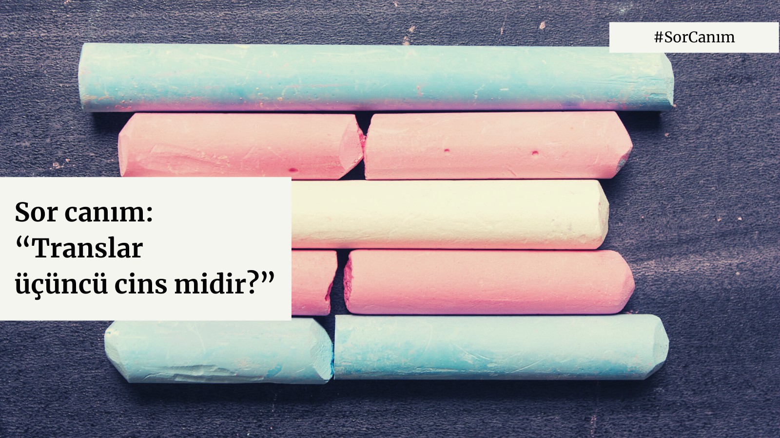 Sor Canım: “Translar üçüncü cins midir?” | Kaos GL - LGBTİ+ Haber Portalı Haber