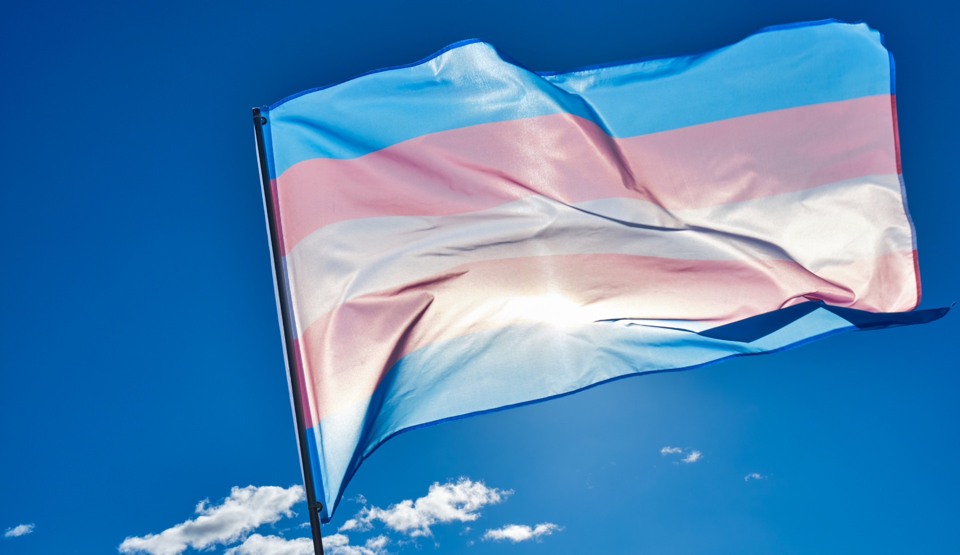 The Governorship of Ankara justified police torture with transphobia Kaos GL - News Portal for LGBTI+