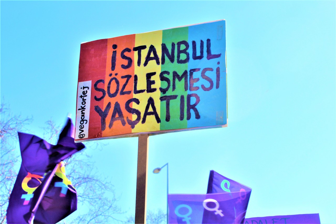 The WWHR issued a statement on the 10th anniversary of the Istanbul Convention: We will definitely take it back and ensure that it enters into force Kaos GL - News Portal for LGBTI+