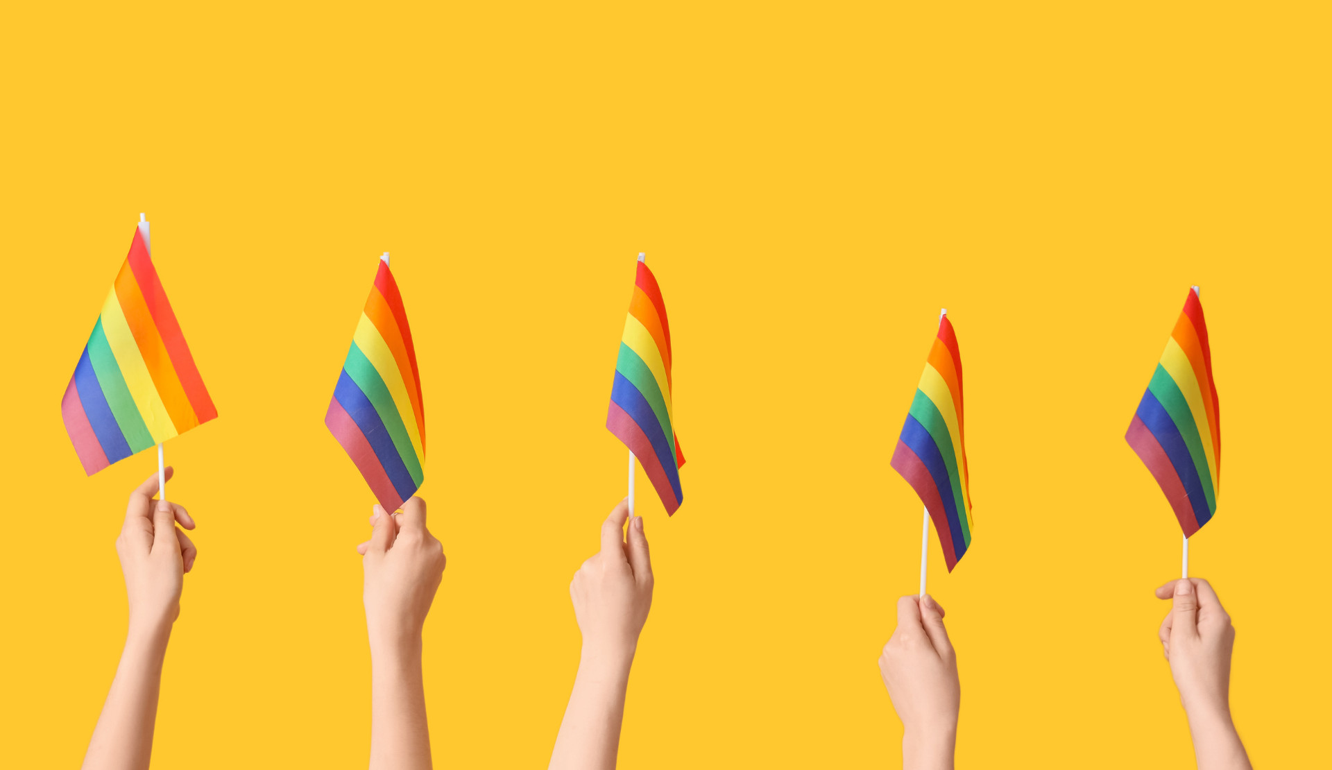 TİHV’den Genç LGBTİ+ davasına çağrı: “İnsan hakları savunucuları yargılanamaz” Kaos GL - LGBTİ+ Haber Portalı