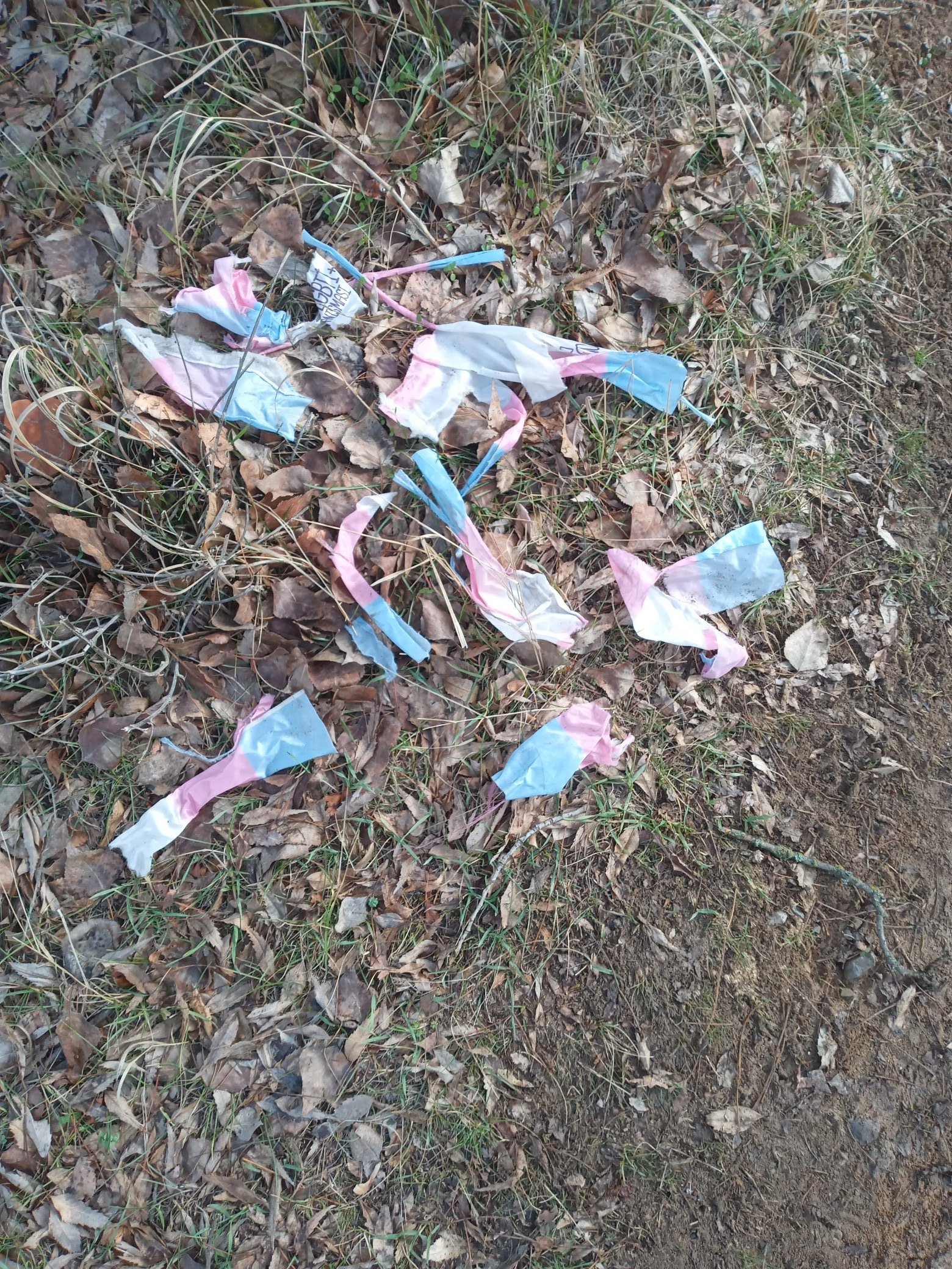 Trans bayrağına düşman…* | Kaos GL - LGBTİ+ Haber Portalı Haber