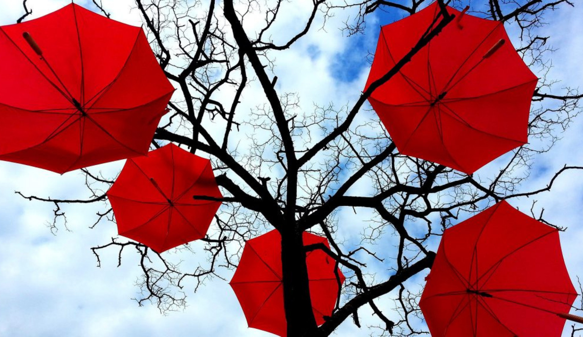 Trans örgütlerinden Uluslararası Seks İşçileri Hakları Günü bildirisi: "Eşit, adil ve şiddetten arındırılmış bir yaşam hakkımızdan vazgeçmeyeceğiz!" Kaos GL - LGBTİ+ Haber Portalı