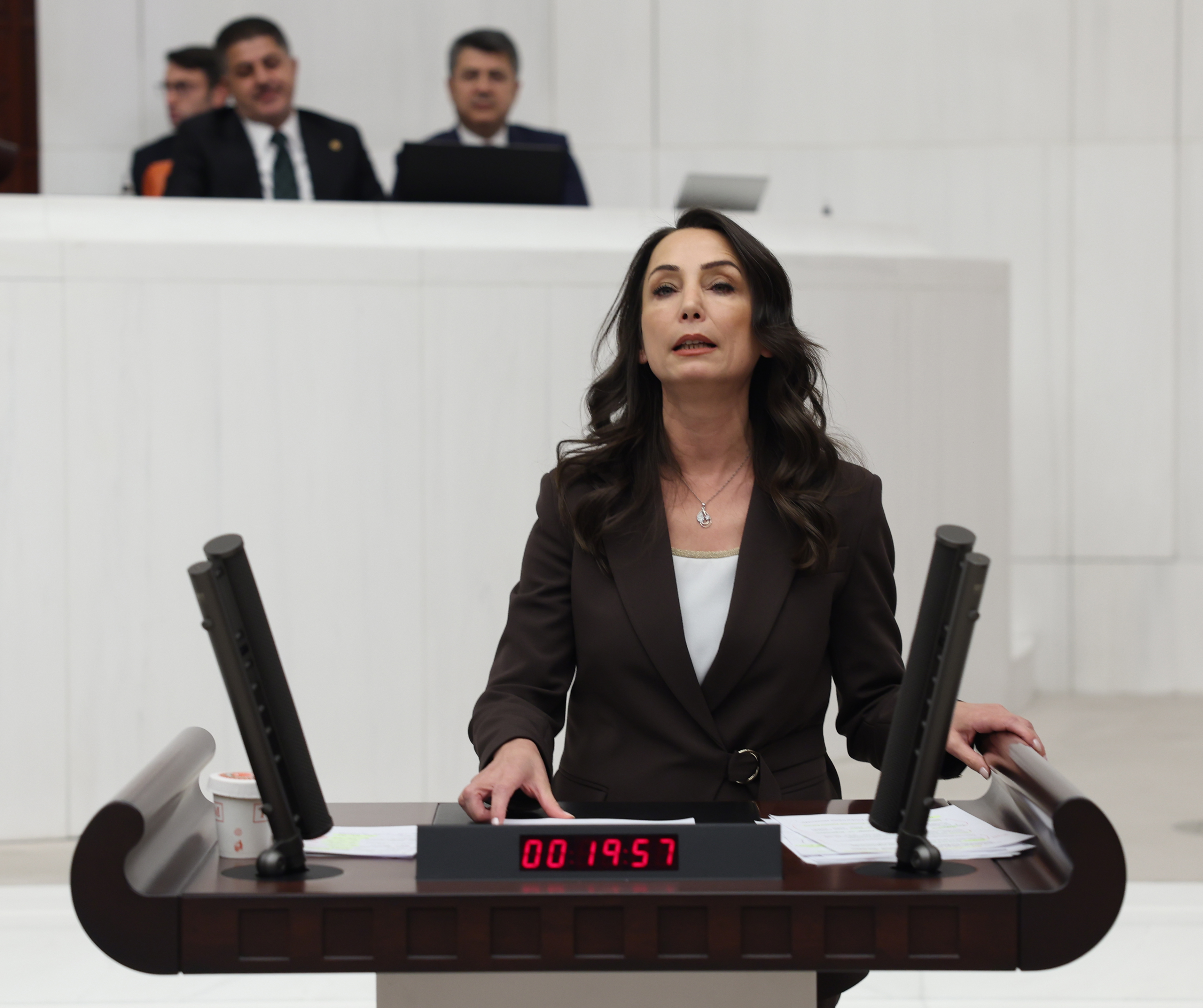 Tülay Hatimoğulları: "A budget that disregards the right to life and freedoms of women, LGBTI+ people, youth, and children cannot be democratic" | Kaos GL - News Portal for LGBTI+ News