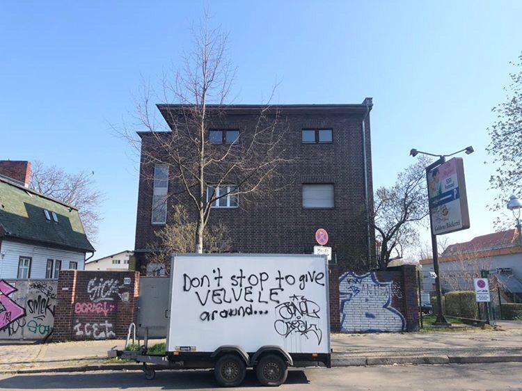 Velvele 1 yaşında | Kaos GL - LGBTİ+ Haber Portalı Haber