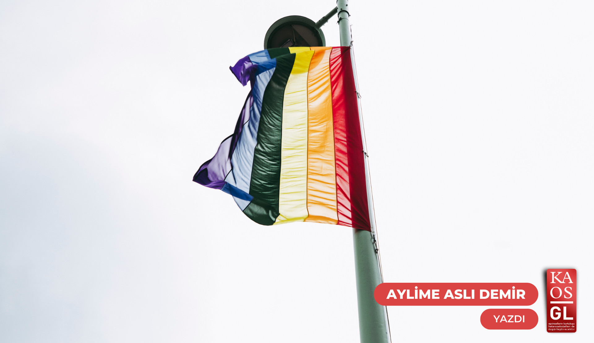 Ayrık otu köklendirme stratejileri Kaos GL - LGBTİ+ Haber Portalı