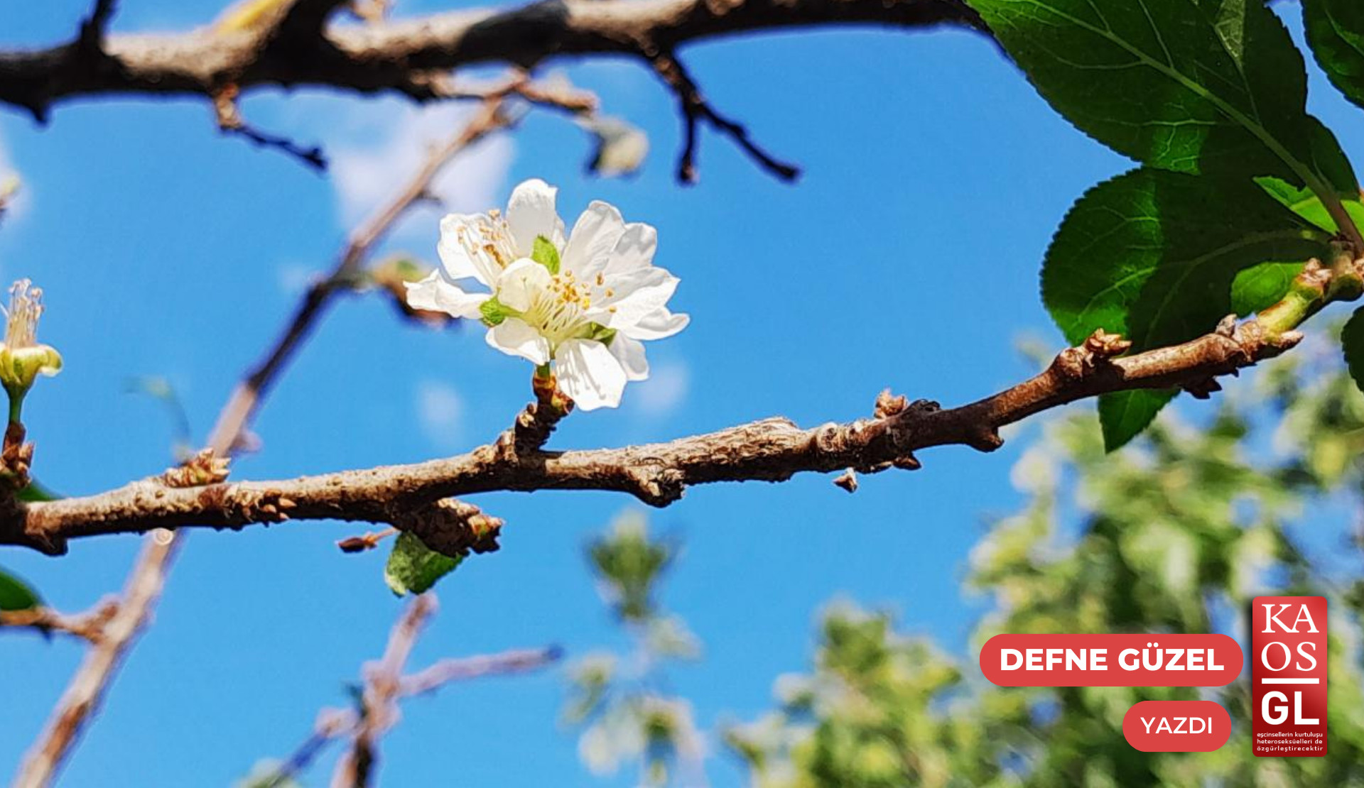 Çocukluğuma mektup: Benimle en çok Babaannem gurur duyardı Kaos GL - LGBTİ+ Haber Portalı
