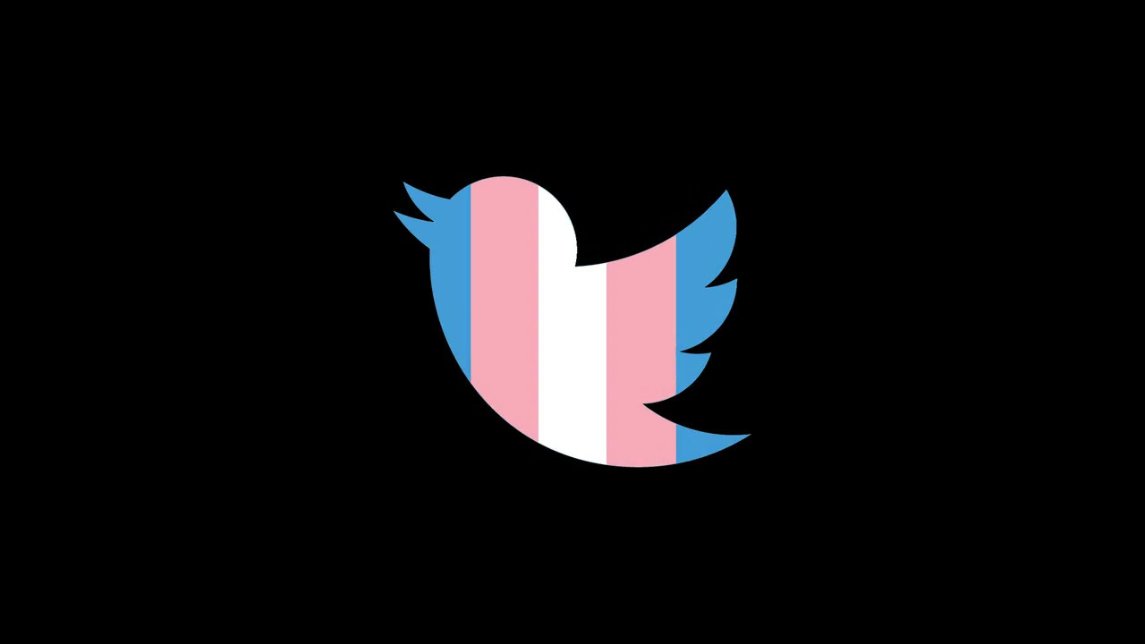 Elon Musk, gücünü transfobiyi yükseltmek için kullanmaya devam ediyor Kaos GL - LGBTİ+ Haber Portalı