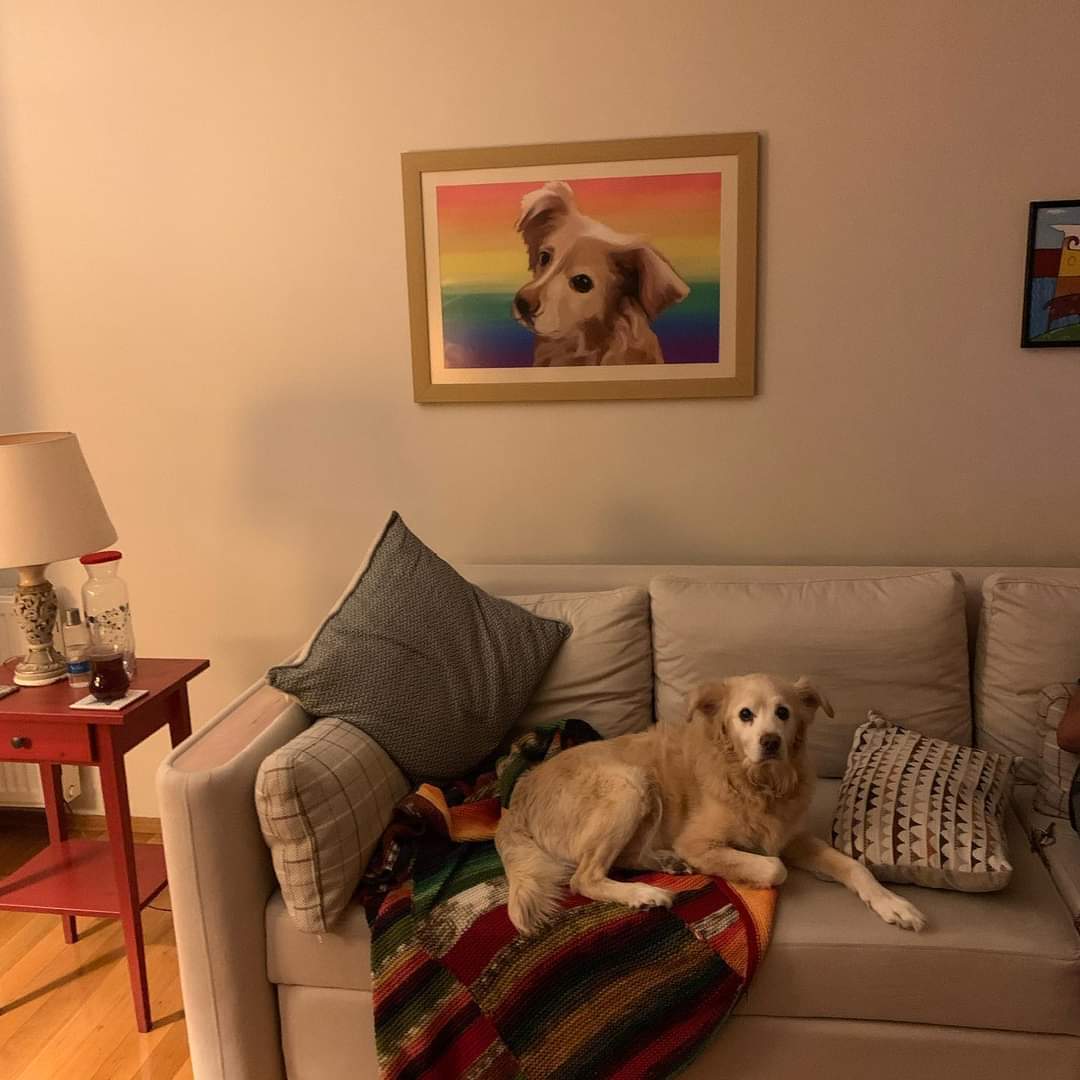 bobi-ile-yasamaya-baslamak-1