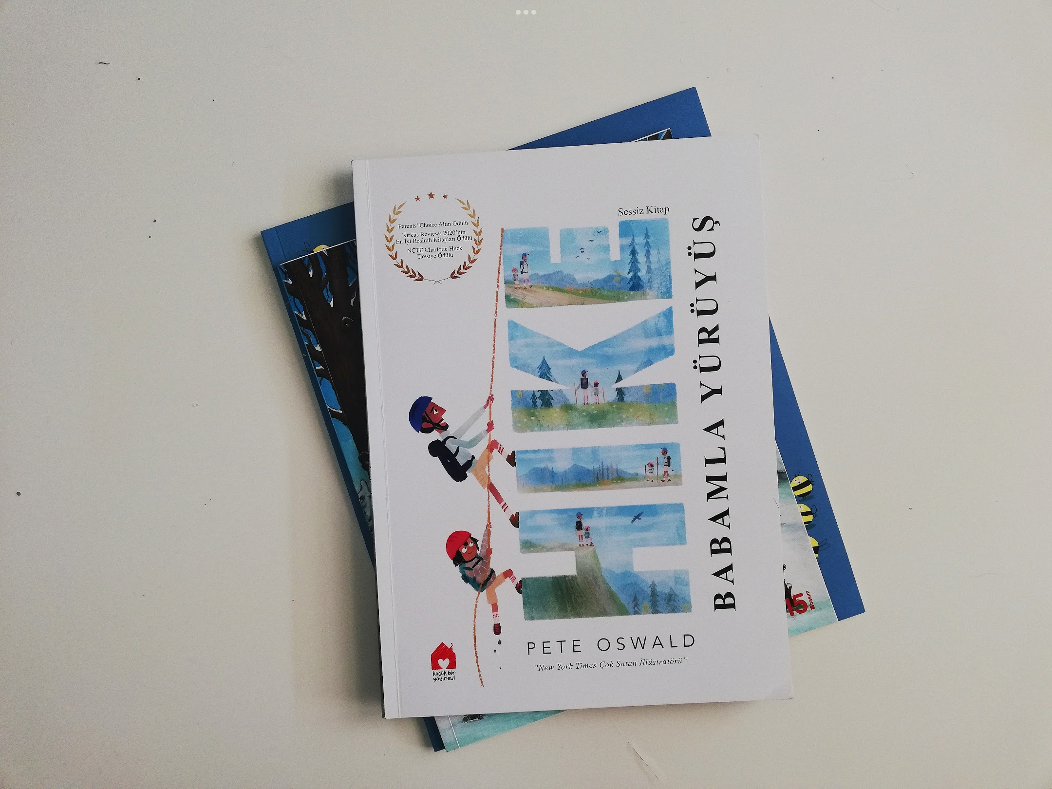 resimli-kitaplar-da-bu-hafta-babamla-yuruyus-1