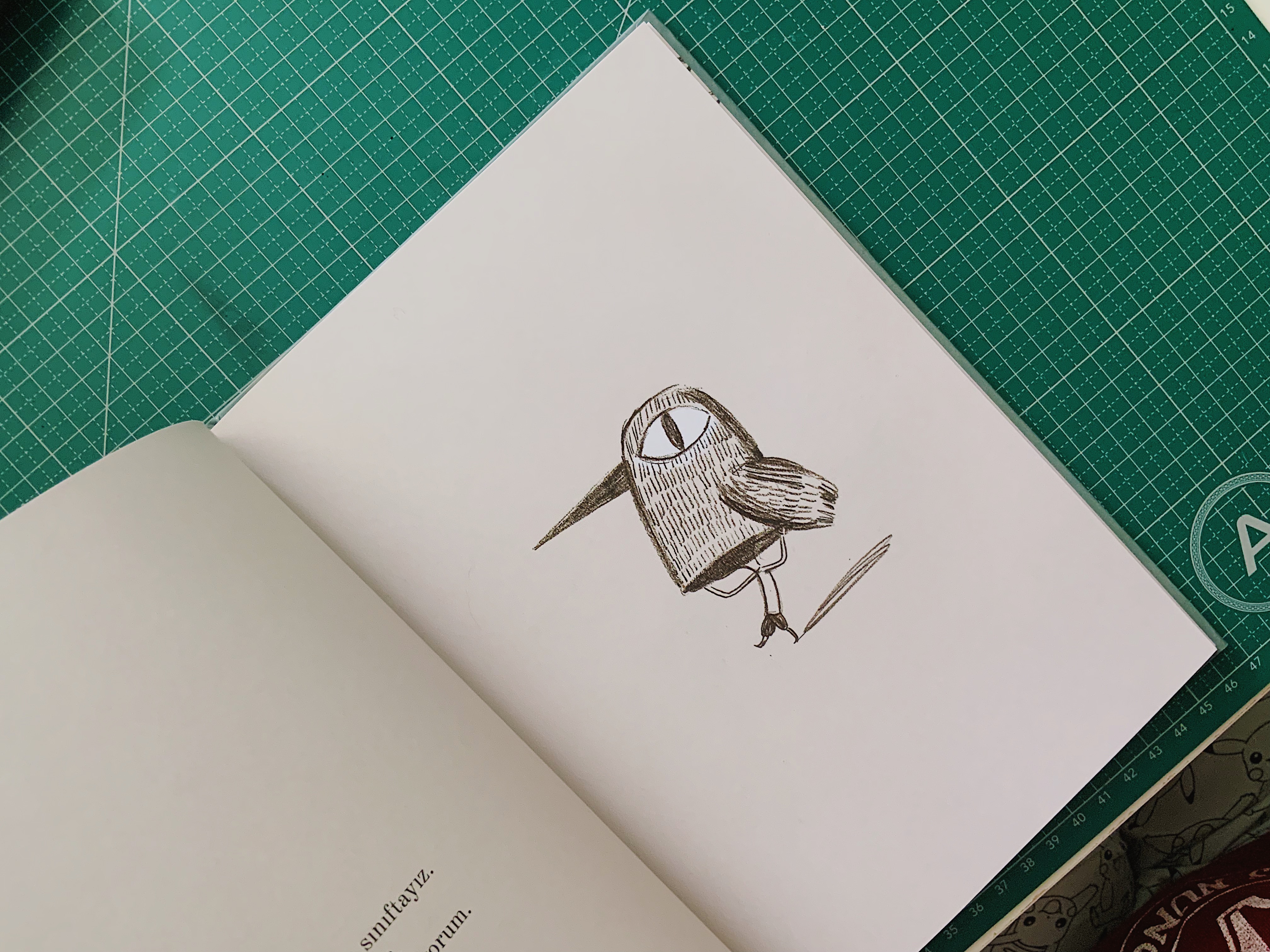 resimli-kitaplar-kusa-donustugum-gun-2