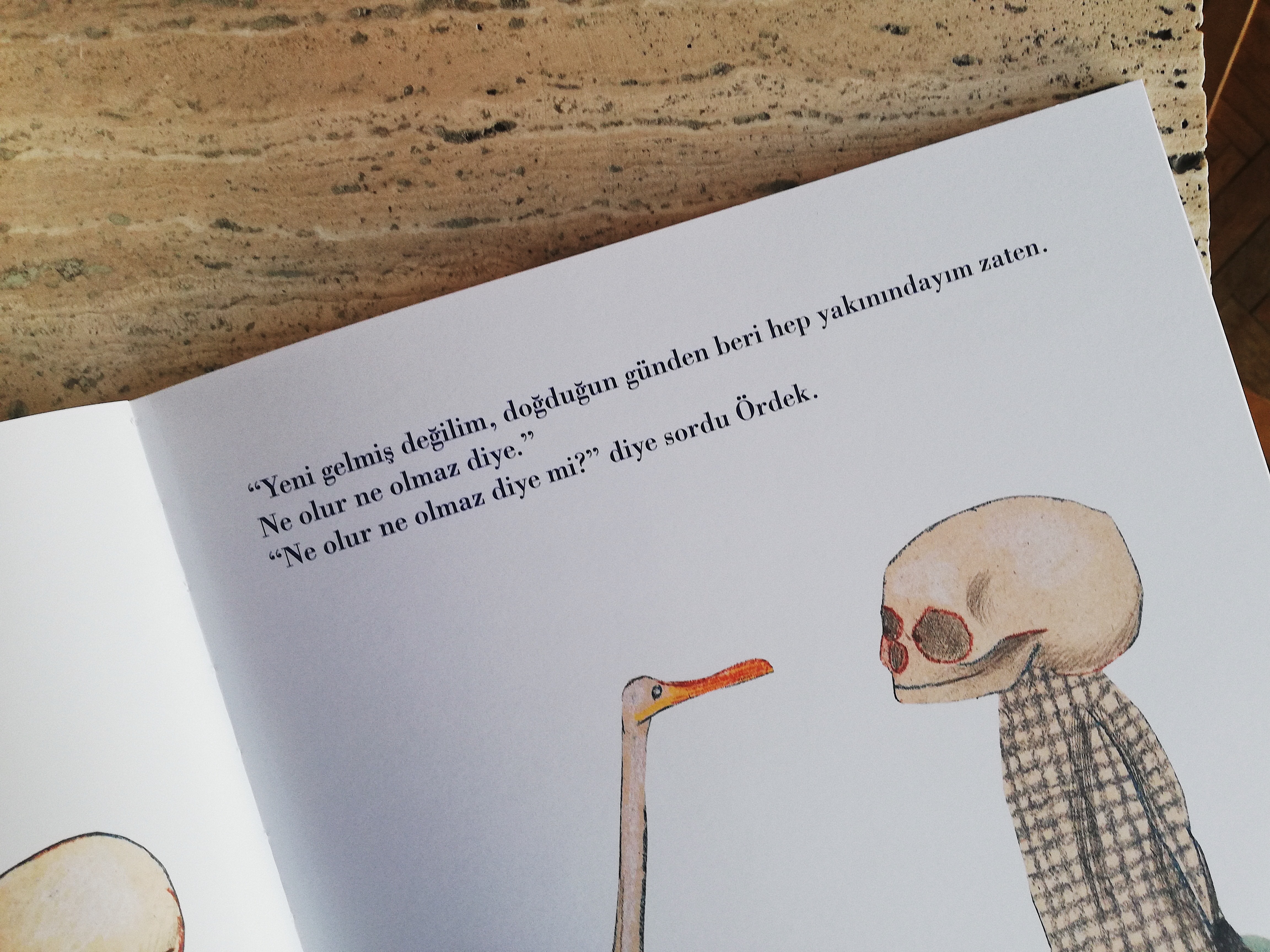 resimli-kitaplar-ordek-olum-ve-lale-1