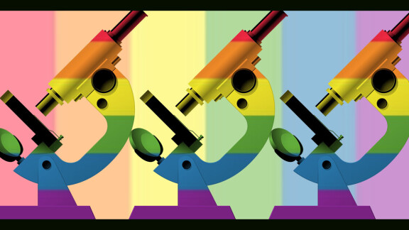 Koku | Kaos GL - LGBTİ+ Haber Portalı Gökkuşağı Forumu Köşe Yazısı