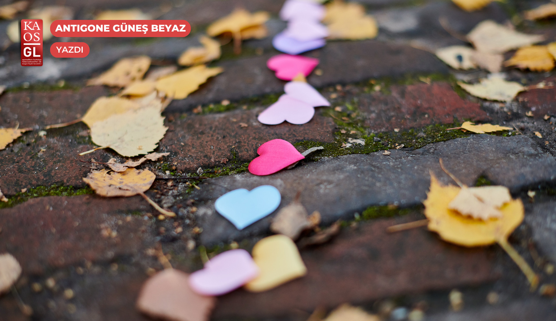 Kuirleş(emey)en çokeşlilik | Kaos GL - LGBTİ+ Haber Portalı Gökkuşağı Forumu Köşe Yazısı