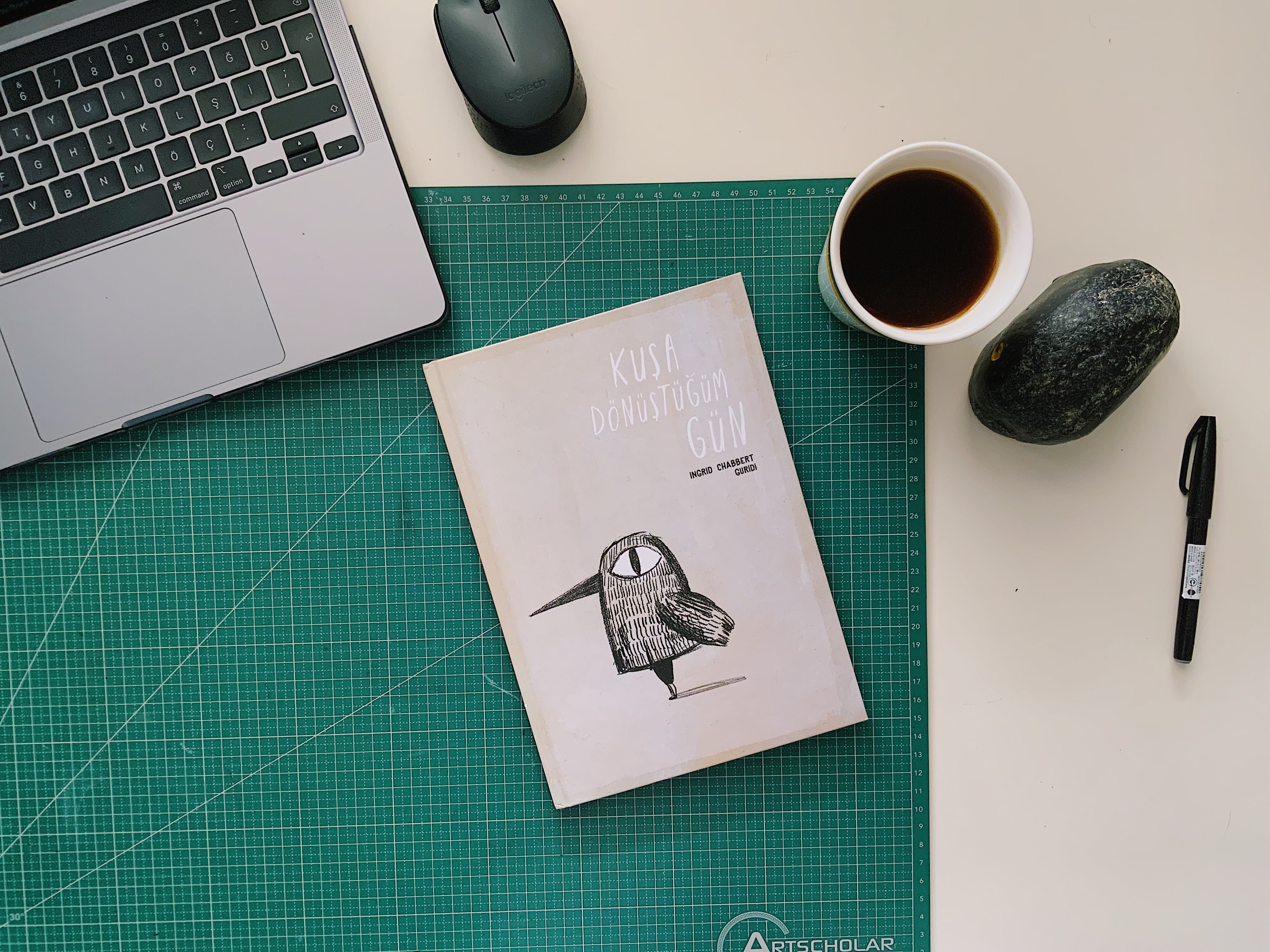 Resimli kitaplar: Kuşa Dönüştüğüm Gün | Kaos GL - LGBTİ+ Haber Portalı Gökkuşağı Forumu Köşe Yazısı